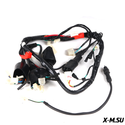 Жгут проводов INTRUDER